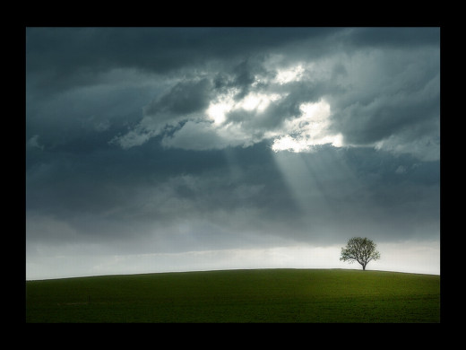 31085 (a): :1024x768